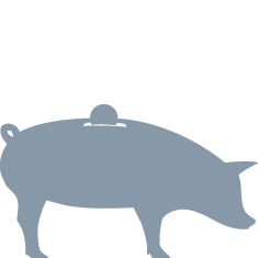 Blue Pig