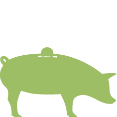 Green Pig