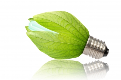 Green-leaf lightbulb