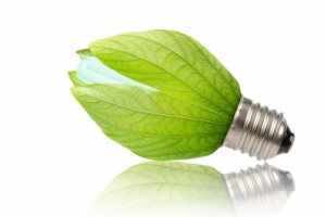 Green-leaf lightbulb